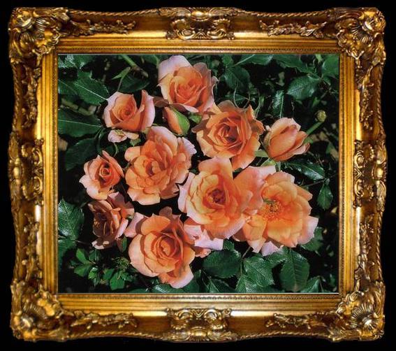 framed  unknow artist Still life floral, all kinds of reality flowers oil painting  287, ta009-2